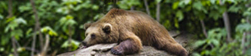 Comment améliorer son sommeil