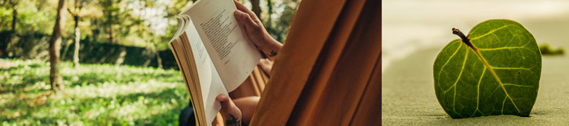 Identifier ses besoins et ses priorités personnelles